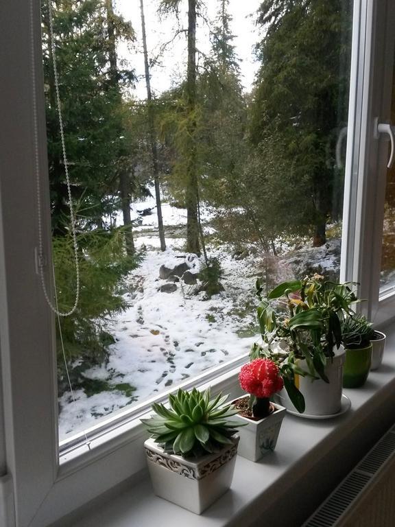 Štrbské Pleso Celik Family Apartment מראה חיצוני תמונה